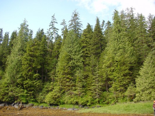 Feds announce PILT payout for fiscal year 2013