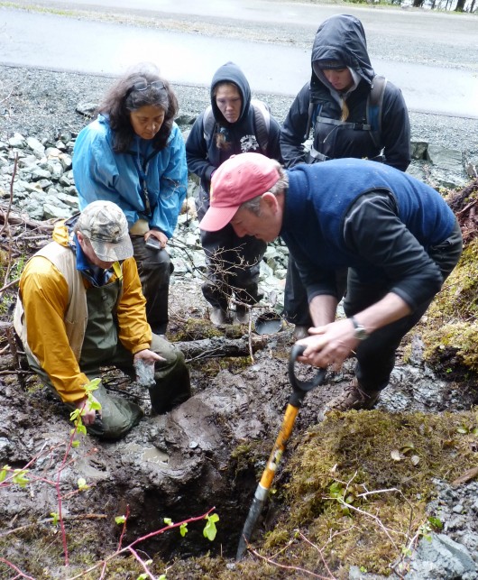Shoreline search boosts evidence of early habitation