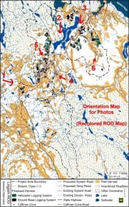 Logjam timber sale area
