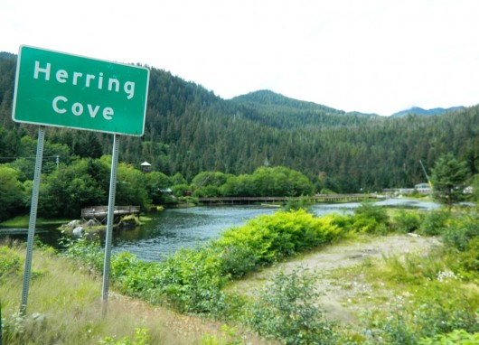 Boro will require permits for Herring Cove tours