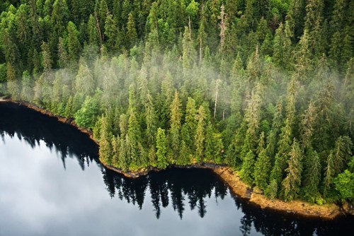 Court rules against Tongass exemption
