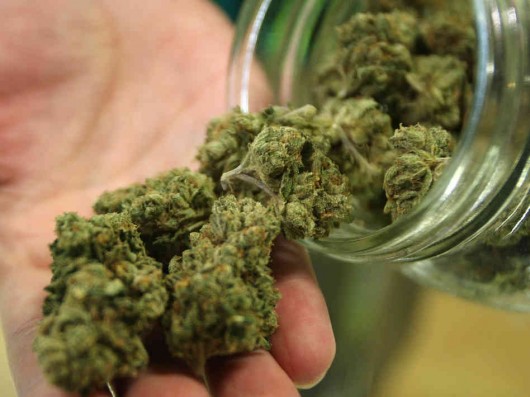 Marijuana tax extension introduced