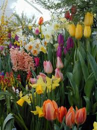 Planning for fall bulbs / fertilizer facts