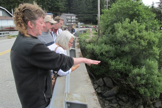 Even with new rules, Herring Cove still chaotic