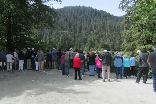 Tourists view the creek at Herring Cove from a public area on Power House Road.