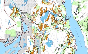 Timber harvest in Shelter Cove area proposed