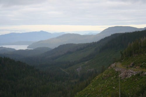 Clear-cuts and old-growth forests are part of the view of Indian Valley on Prince of Wales Island. The Forest Service just announced three more timber sales in the Island's Big Thorne area.