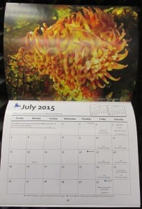 2015 Calendar 003