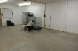An empty second-floor space at the current shelter building has been suggested as a space for cats.
