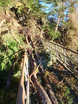 Naha Trail damaged in November wind storms