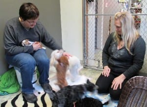 Agnes Moran, left, and Gretchen Moore play with a roomful of small, fast-moving  dogs at Groomingdales.