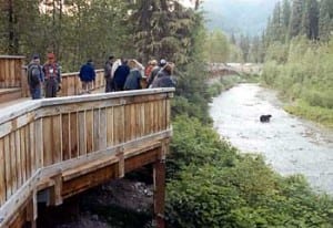 The Fish Creek bear viewing area. (U.S. Forest Service photo)