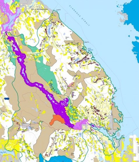 9th Circuit considering Big Thorne injunction request
