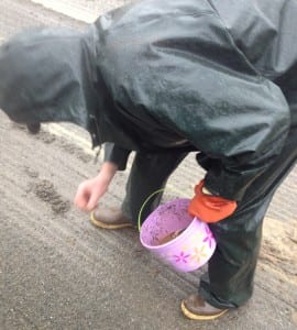 Alex Peura picks up shells from Dudley Field Thursday April 9, 2015.