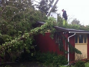 A tree fell onto a house in Saxman, on Killer Whale Avenue. 