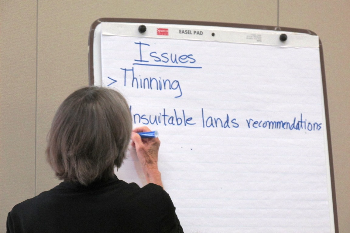 Tongass Advisory Committee has doubts