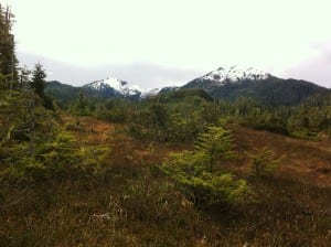 The large muskeg is a great place for training, followed by a group hike.