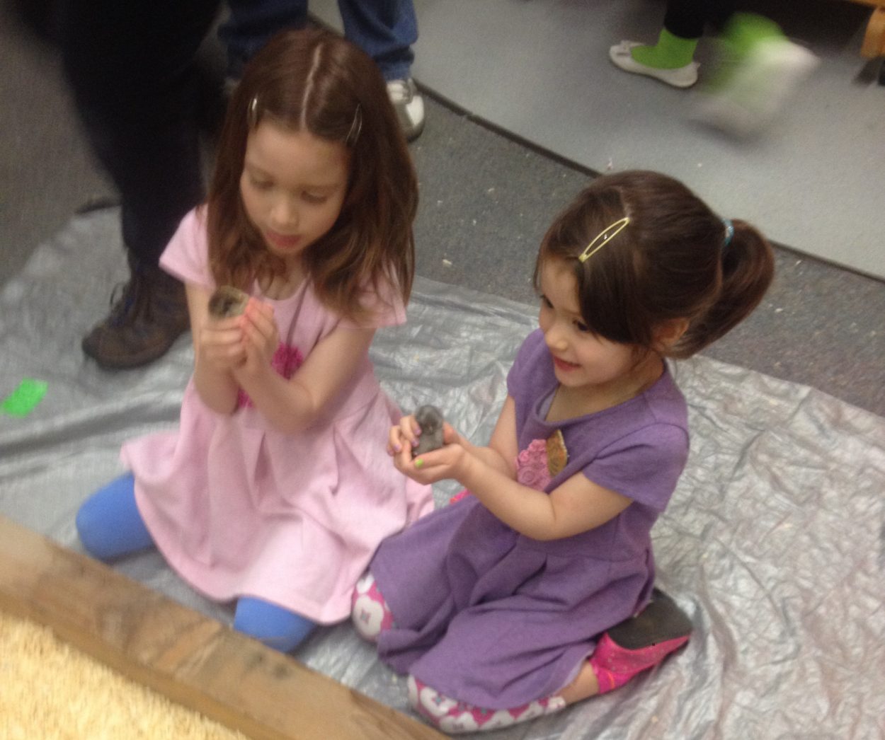 Da Vinci Night highlights everyday science