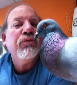 Phillips took this selfie with Fifty the pigeon. (Photo by Todd Phillips)