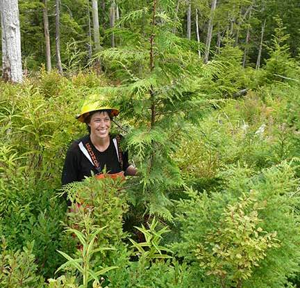 Tongass silviculturist wins national award