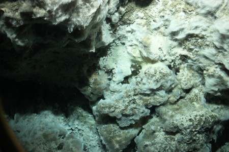 This photo taken under 3,000 feet of water shows the newly-found volcano's vent. Thread-like bacteria and a white coating of minerals precipitating out of solution are visible. (Photo courtesy Stuart Nishenko)