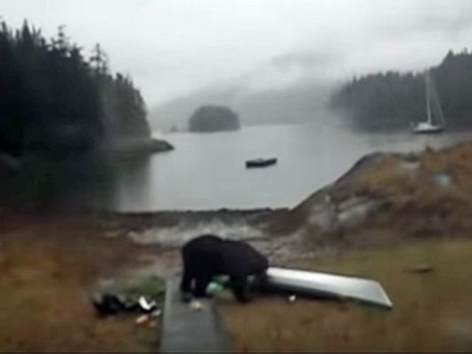 Ketchikan kayaker’s viral video