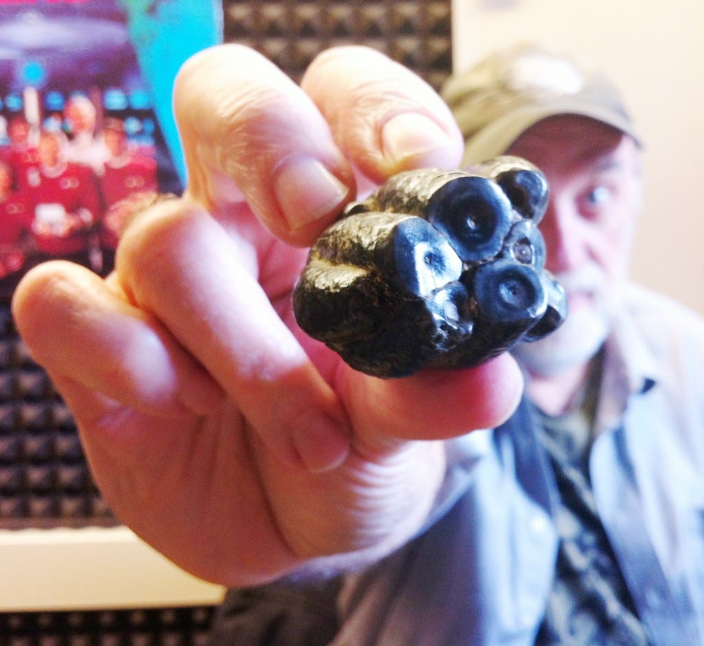 Ketchikan artist Ray Troll holds up a Desmostylus tooth. (Photo by Leila Kheiry)