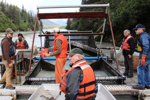 B.C. Mines Minister Bill Bennett, center, Lt. Gov. Byron Mallott, center right, and Fish and Game Commissioner Sam Cotton, right, visit a Taku River fish wheel in August after viewing the Tulsequah Chief Mine. (Photo courtesy lieutenant governor's office)