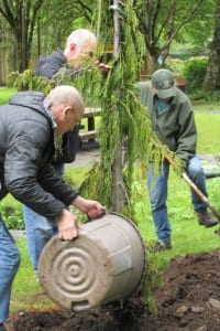 Borough Mayor David Landis adds compost.
