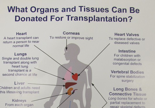 To be or not to be…an organ donor