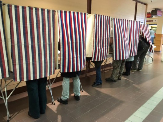 Voters cast their ballots at The Plaza mall. (Photo by Leila Kheiry)