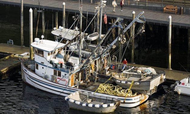 Coast Guard offers tips during “Safe Boating Week”