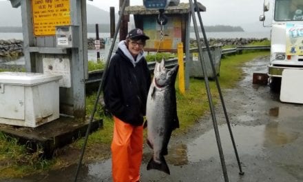 Chinook salmon are getting smaller, and researchers say killer whales may be to blame