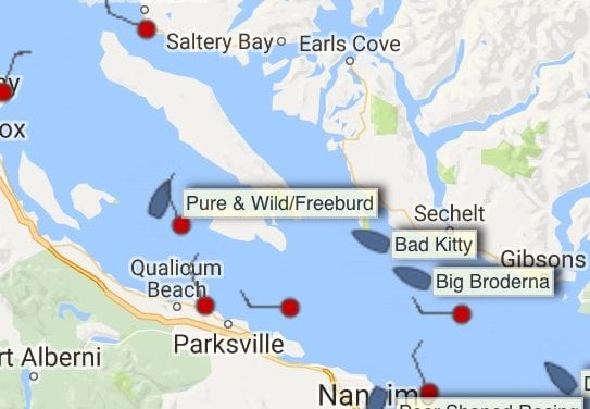 Pure and Wild leads pack in R2AK