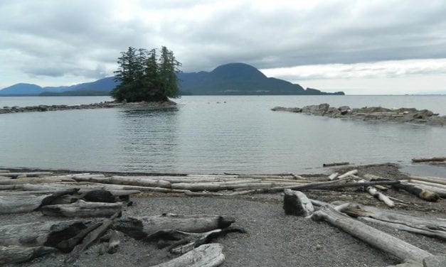 Cruise ships don’t appear to be behind Ketchikan’s beach bacteria problem – so what is?