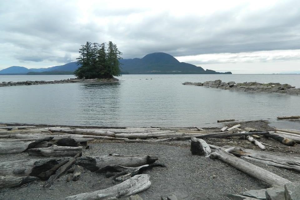 Bacteria monitoring program continues