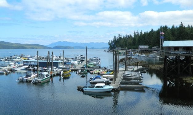 DEC issues advisory for Knudson Cove water