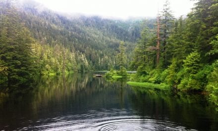 Body recovered downstream of Carlanna Lake Dam