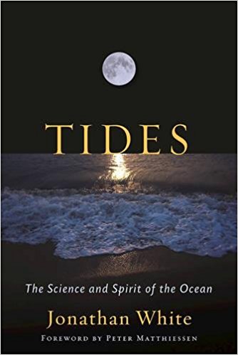 Author explores beauty and science of tides