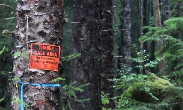 State challenges national forest roadless rule – again