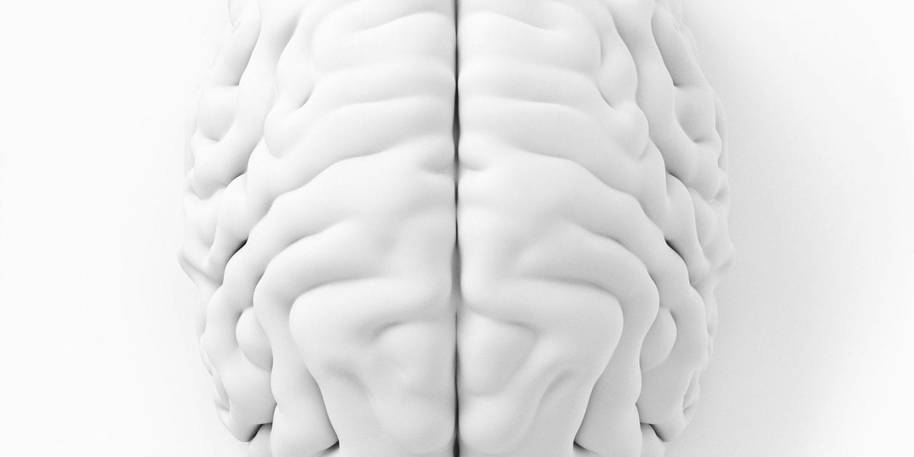 ABIN to offer brain injury clinic for families and providers