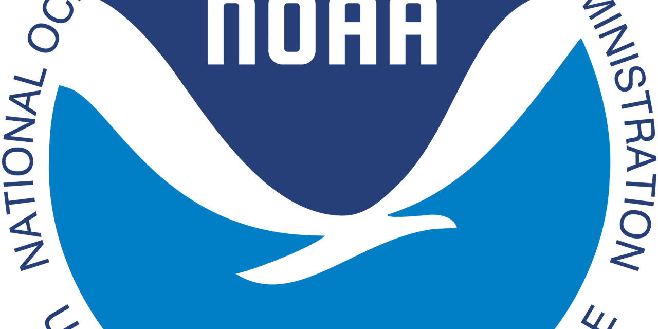 NOAA investigating marine mammal shooting