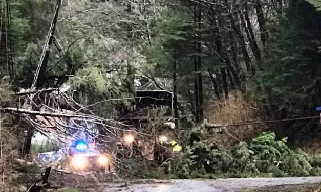 Wind storm hits Southeast; Ketchikan clocks biggest gusts