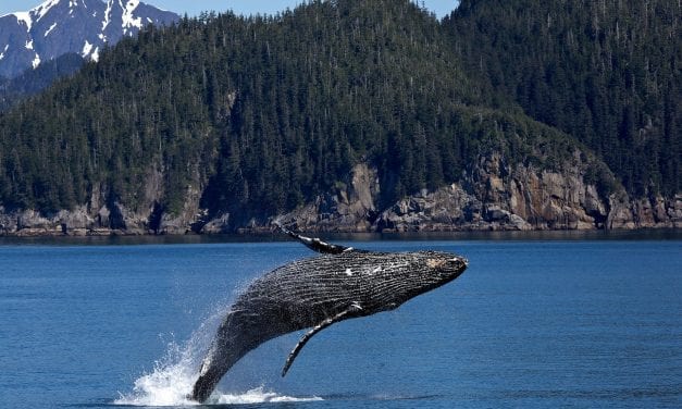 Ask UAS looks at the changing ocean