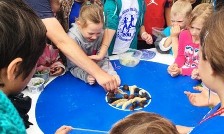 Blueberry Festival returns to downtown Ketchikan