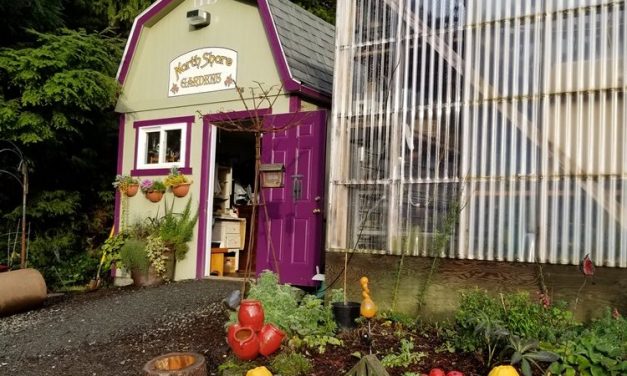 Vitamins, ATVs and shrubbery: What some Ketchikan store owners can’t keep on the shelves
