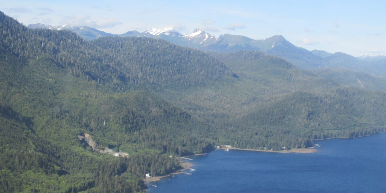 Craig man killed in commercial logging accident