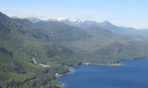 Feds settle with environmentalists over Tongass lawsuit costs