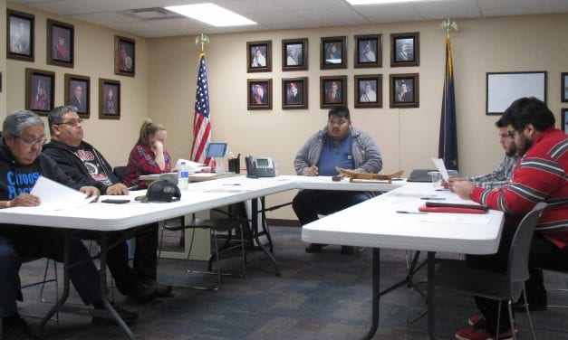 Saxman officials ask borough for $100K in head taxes to revamp parks and port