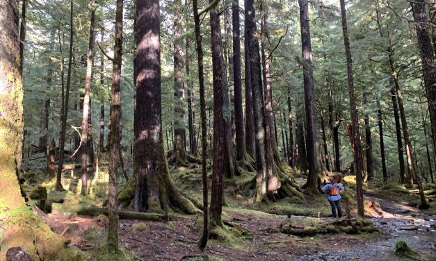 Commercial hiking proposal has some wondering how to escape tourists